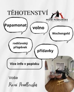 Těhotenství a práce v Rakousku