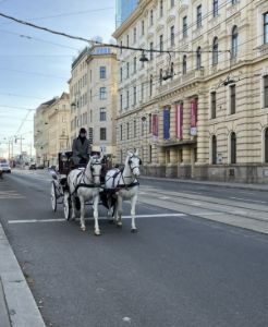 Pracovali jste v roce 2021 v Rakousku? Vyzvedněte si přeplatek daně do 31.12.2026